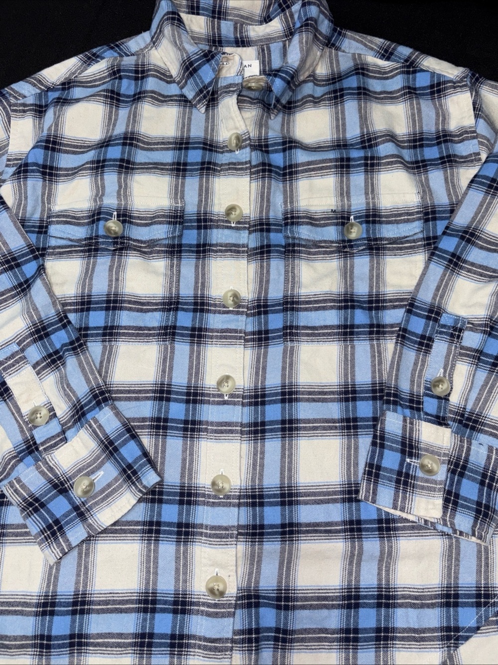 American Eagle Outfitters Light Blue and White Plaid Button-Down Shirt